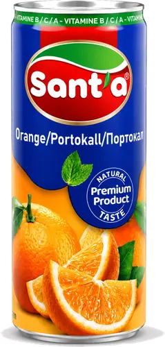 Sant'a Fruit Nectar Orange 250 ml can